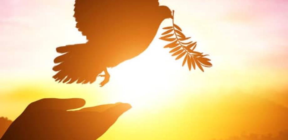 dove