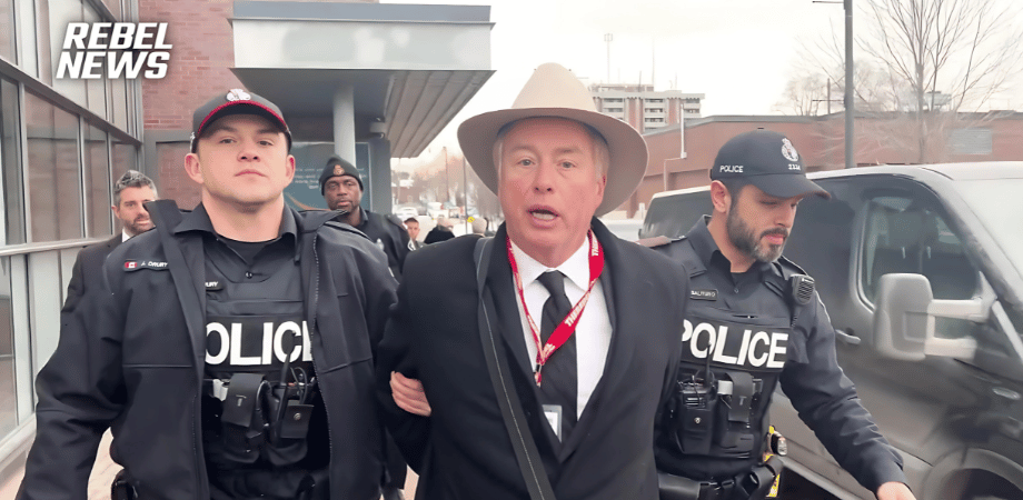 Menzies being dragged off by police for asking Deputy Prime Minister Freeland questions.