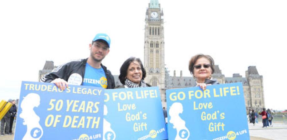 Vote Pro-Life