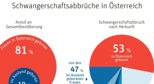 Abtreibungsstatistik
