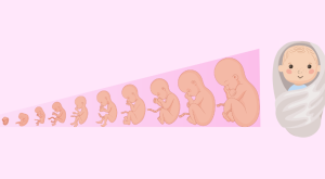 Houd abortus in de strafwet